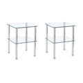 HomeRoots Set of Two Clear and Silver Glass and Metal Square End Tables With Shelf